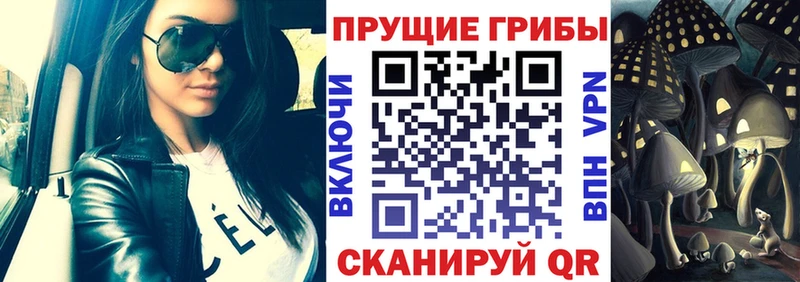 купить  сайты  Гагарин  Псилоцибиновые грибы Cubensis 